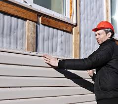 Best Siding Painting and Refinishing  in Madison Heights, VA